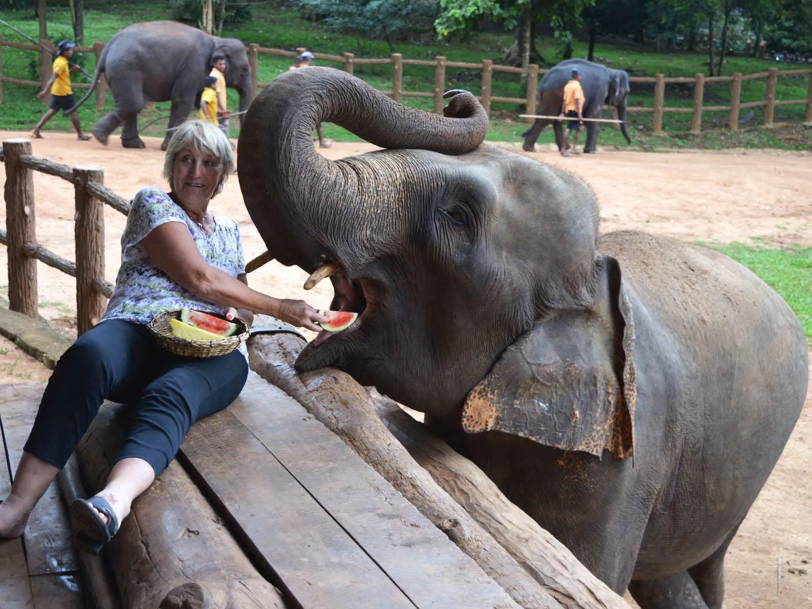 Lankan Traveller Tour Moment