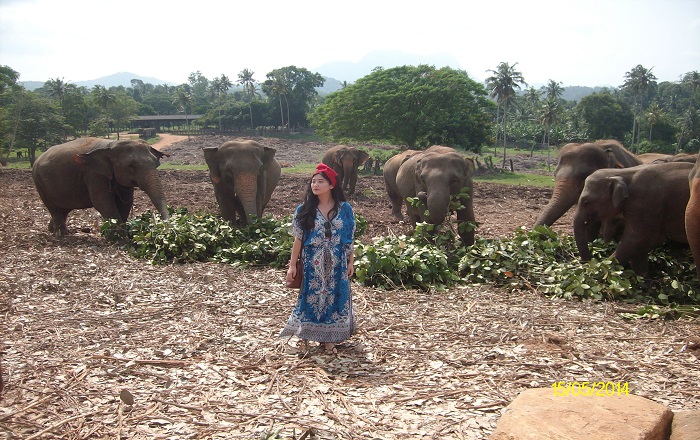 Lankan Traveller Tour Moment